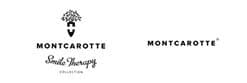 Логотип MontCarotte